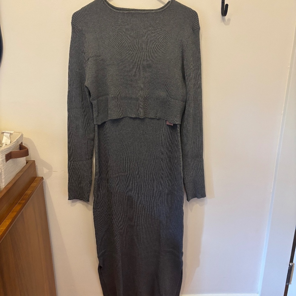 Kindred Bravely Maternity/Nursing Gray Dress